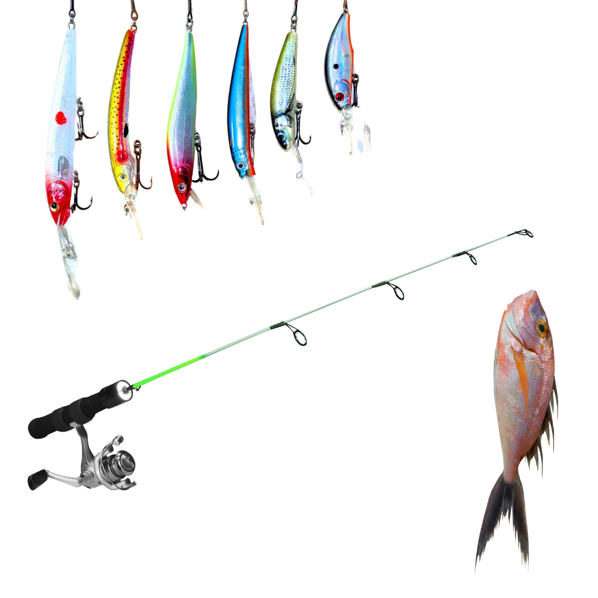 🎣 Pesca