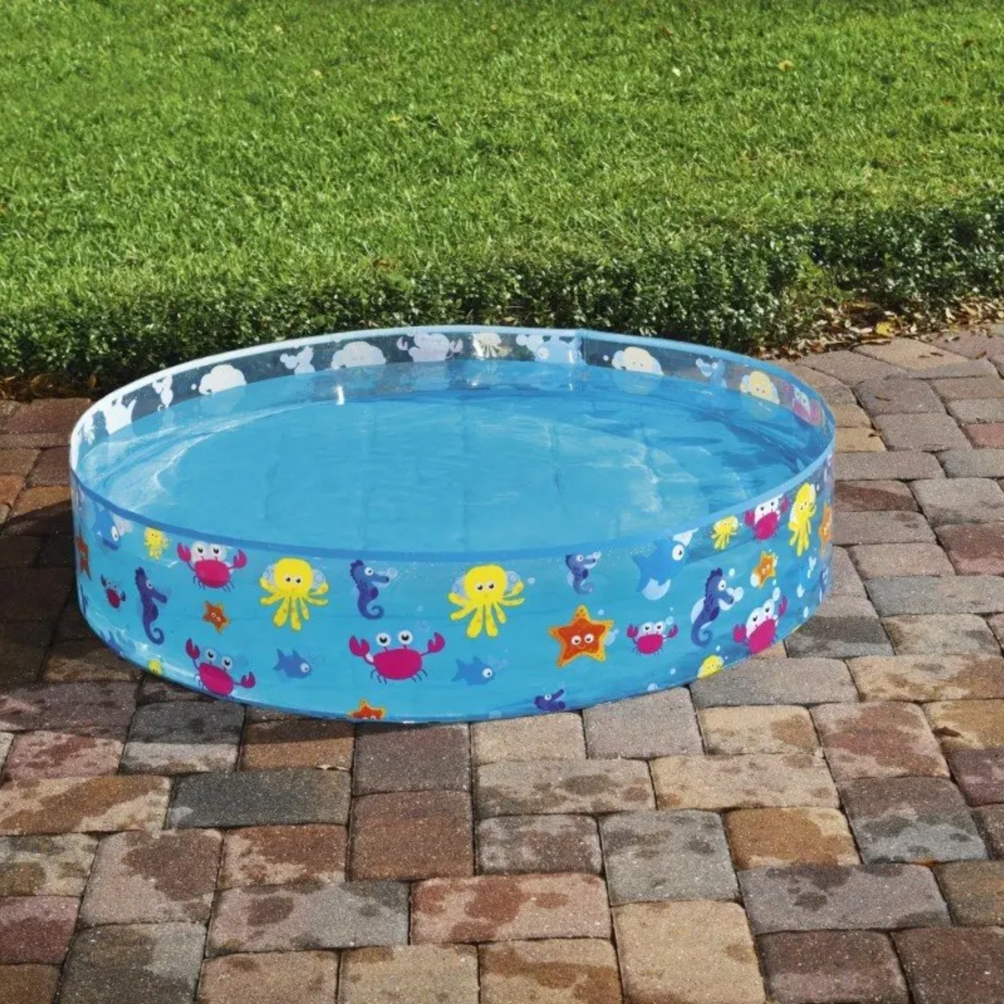 Piscina Infantil Bestway®